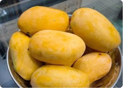 Chaunsa mangoes